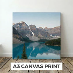 A3 Canvas Prints