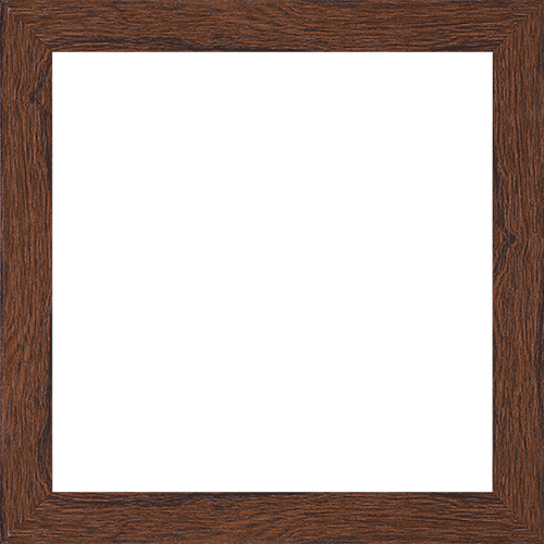 Brown Van
